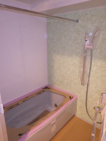 12 IMGP5467-e1728726242186